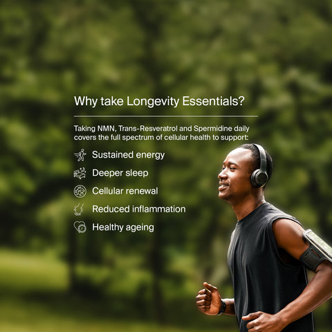 Longevity Essentials Bundle by Manapura | The Best, Pure, Clinical-Grade Longevity & Nootropic Supplements | Free Shipping