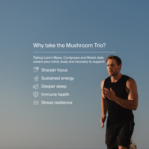 Mushroom Trio by Manapura | The Best, Pure, Clinical-Grade Longevity & Nootropic Supplements | Free Shipping