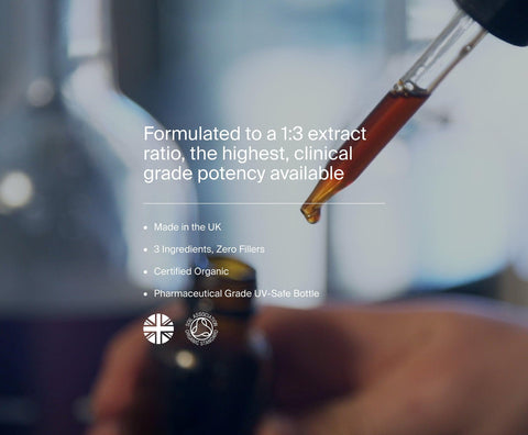 Most Potent Lion's Mane by Manapura | The Best, Pure, Clinical-Grade Longevity & Nootropic Supplements | Free Shipping