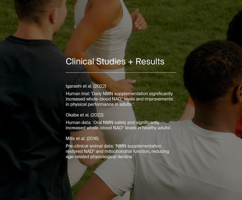 Longevity Essentials Bundle by Manapura | The Best, Pure, Clinical-Grade Longevity & Nootropic Supplements | Free Shipping