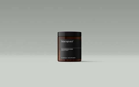 Detox Stack by Manapura | The Best, Pure, Clinical-Grade Longevity & Nootropic Supplements | Free Shipping