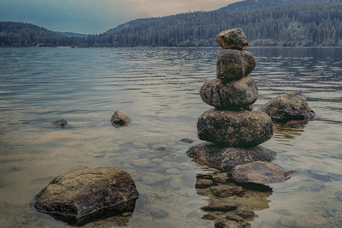 Build Your Custom Supplement Stack 
for Energy, Focus & Longevity